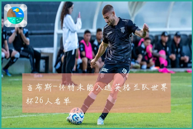 吉布斯-怀特未能入选英格兰队世界杯26人名单